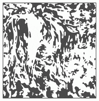 Kuhbild GIF
